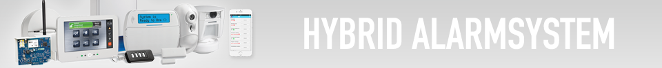 Hybrid alarm system