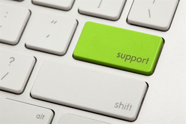 Remote Support  0-30 min (GSUP 11) 